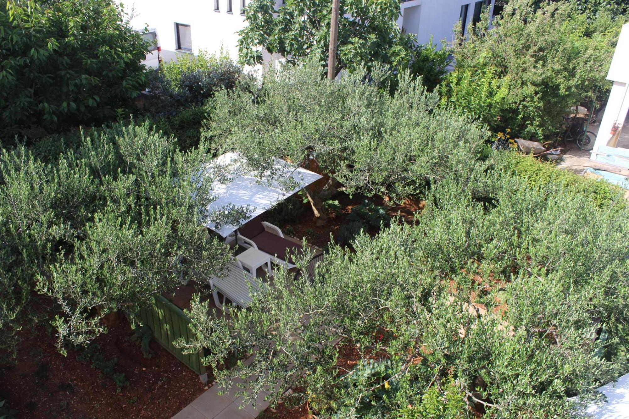 Apartments & Rooms Tea Zadar Exterior foto